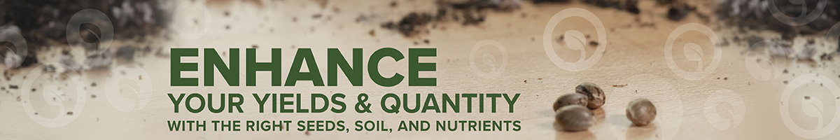 Seeds Soil And Nutrients Banner